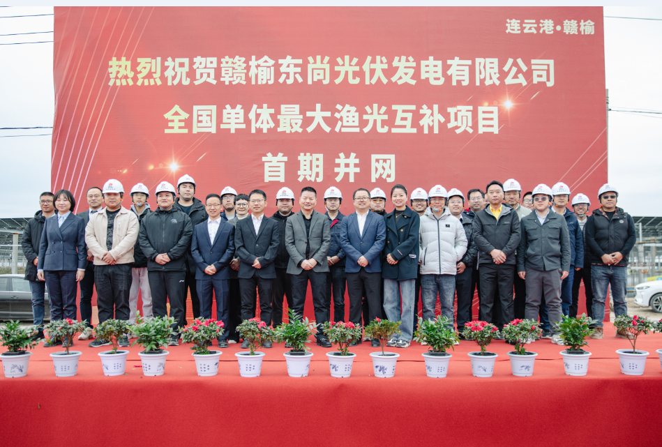 8868�����ٷ���վ-������������ֱ��ƽ̨